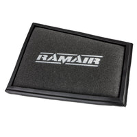 Ramair Performance Panel Filter RENAULT Megane Mk 3 2.0 dCi FAP 04/09-